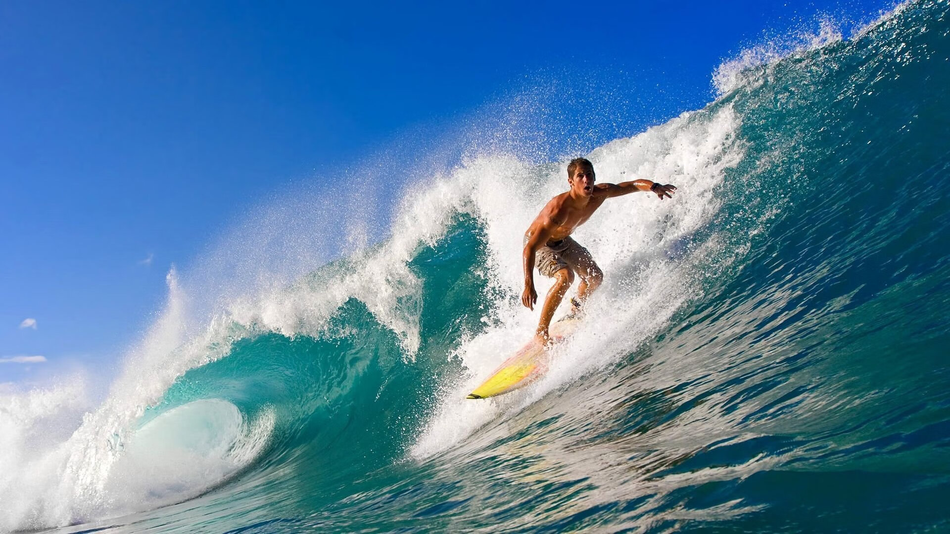 世界杯筹备进展顺利