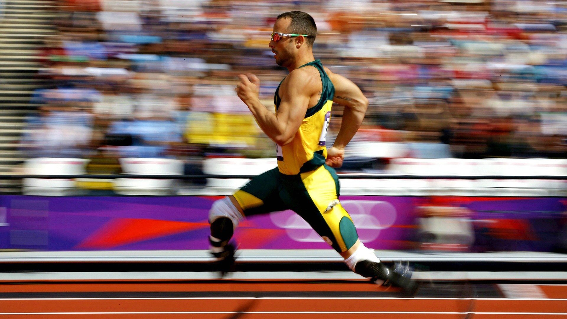 足球联赛最新积分榜分析